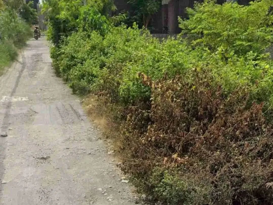 TANAH PERERENAN LINGKUNGAN VILA KOMERSIL SHM ZONA PINK LEBAR 27m 1,750M/are - Image 3 of 9