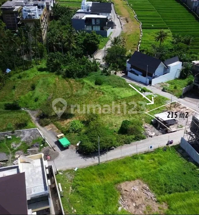 Tanah di pantai Cemagi 215m2 - Lingkungan Villa - Image 2 of 4