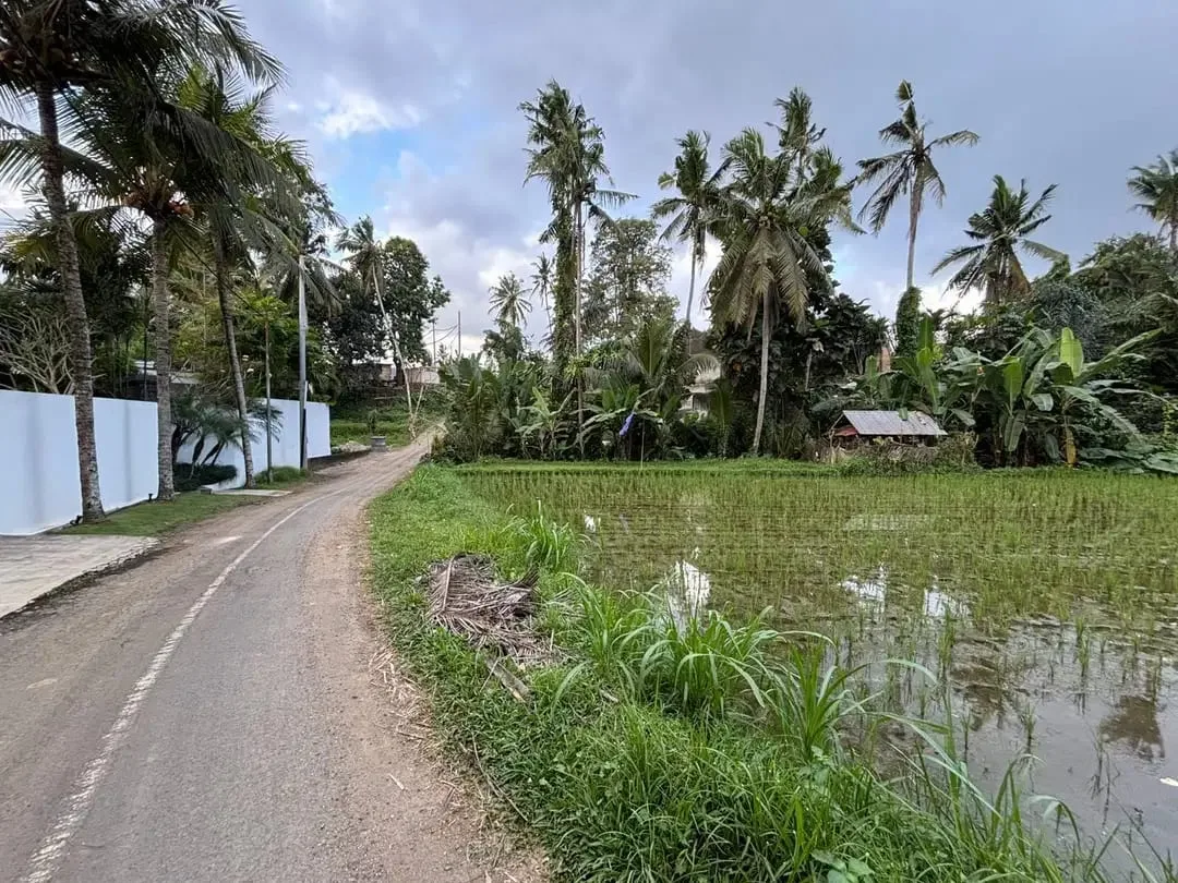 Tanah View Sawah Indah di Singakerta Ubud Bali - Image 4 of 8