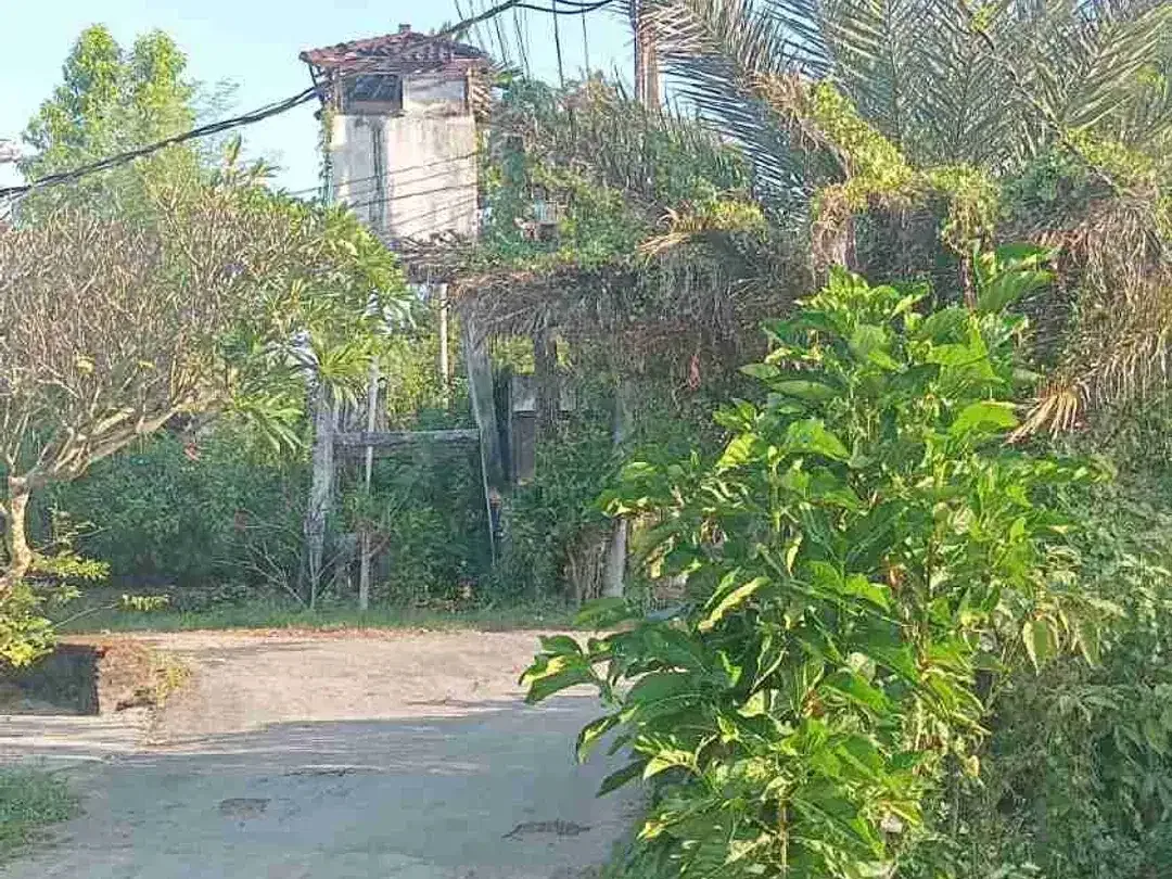 dijual tanah 26,5 are IDR 375 juta per are dekat Pepito Taman griya Jimbaran - Image 7 of 8