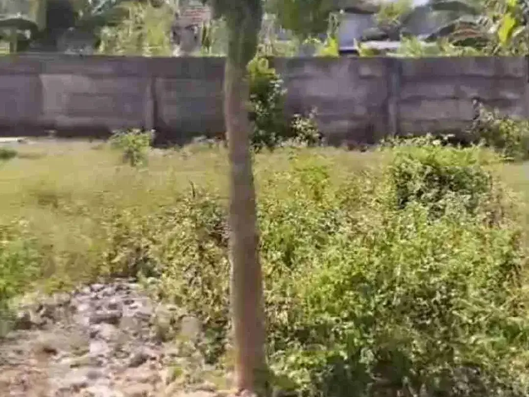 Dijual Tanah Premium Depan Sidewalk Mall Dekat kampus Poteliknik / Udayana Jimbaran, Badung - Bali - Image 3 of 5