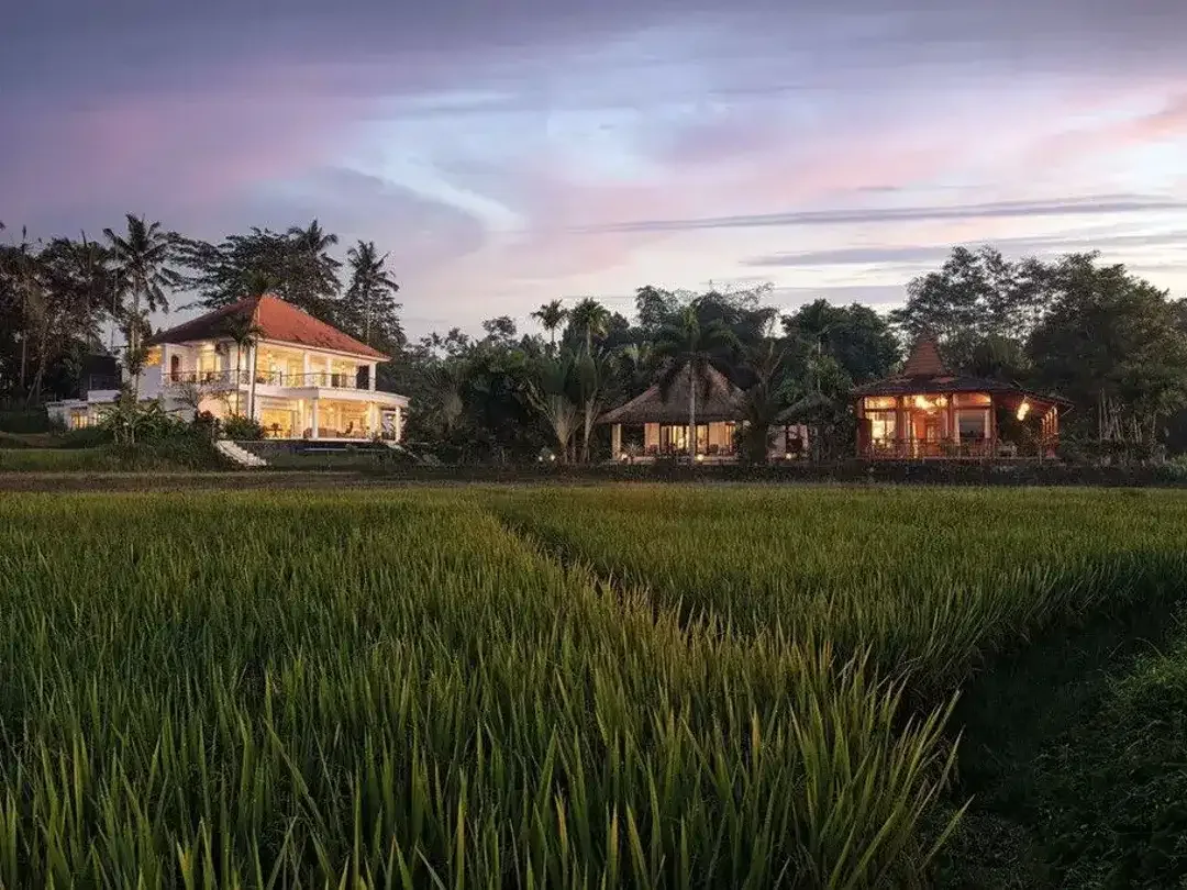 FREEHOLD | COLONIAL-STYLE VILLA WITH JUNGLE AND RICE FIELD VIEWS - UBUD TEGALLALANG - Image 9 of 10