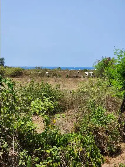 Tanah murah dekat pantai siyut Gianyar - Image 1 of 10