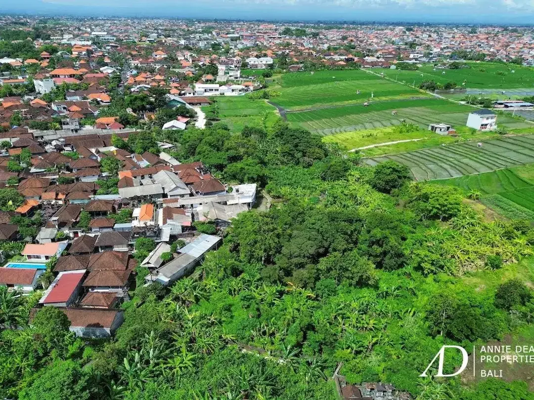FREEHOLD & LEASEHOLD LAND OPPORTUNITY IN PADONAN - CANGGU - Image 7 of 10