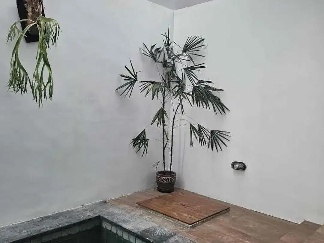 For Sale

Villa Minimalis Modern
Lokasi: Darmawangsa Kampial Nusa Dua - Image 10 of 10