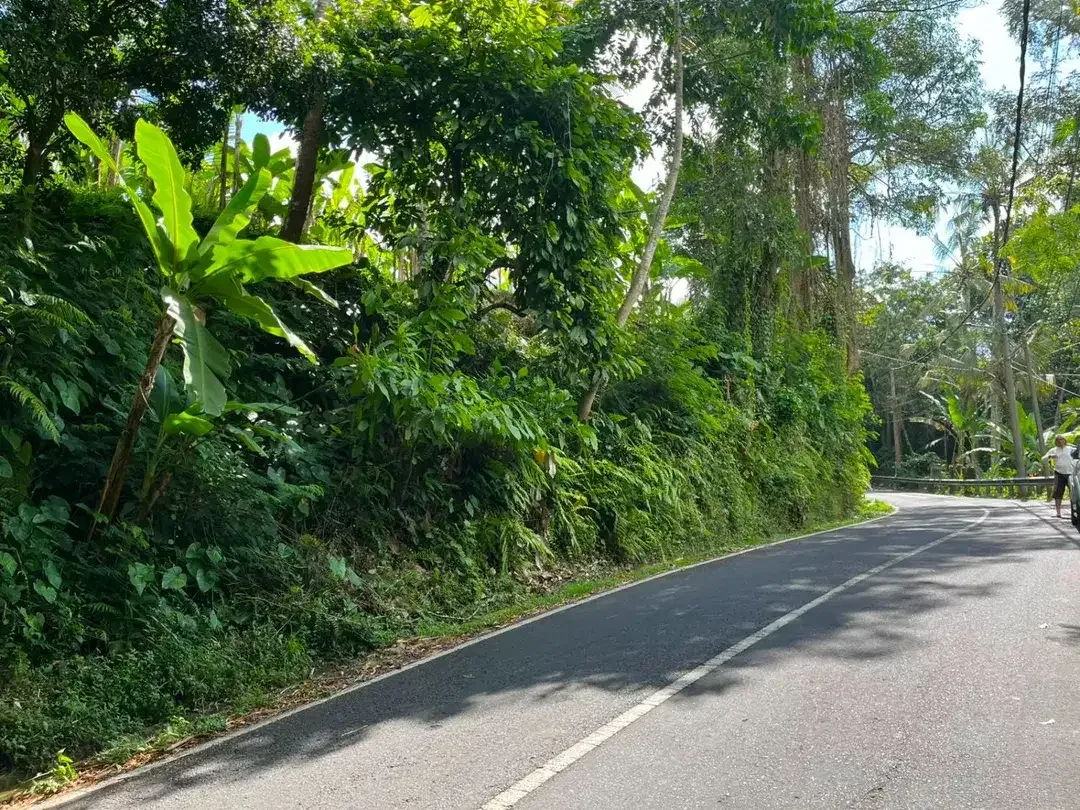 DIJUAL TANAH PREMIUM – PINGGIR JALAN UTAMA DESA BUAHAN, PAYANGAN – GIANYAR - Image 8 of 10