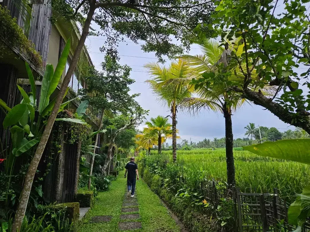 Luxury Eco Villa Investment in Bali's Tropical Highlands - Ubud - Image 2 of 10