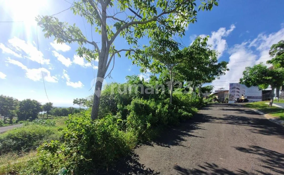 Tanah Dijual Ocean View di Pantai Cemongkak, Bali - Image 4 of 4