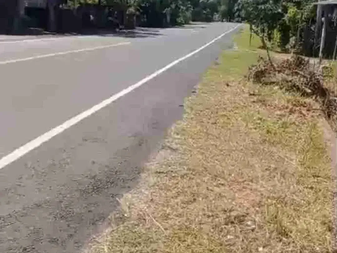 TANAH MURAH JALAN DENPASAR GILIMANUK YEH EMBANG NEGARA COCOK UNTUK USAHA DLL - Image 3 of 7