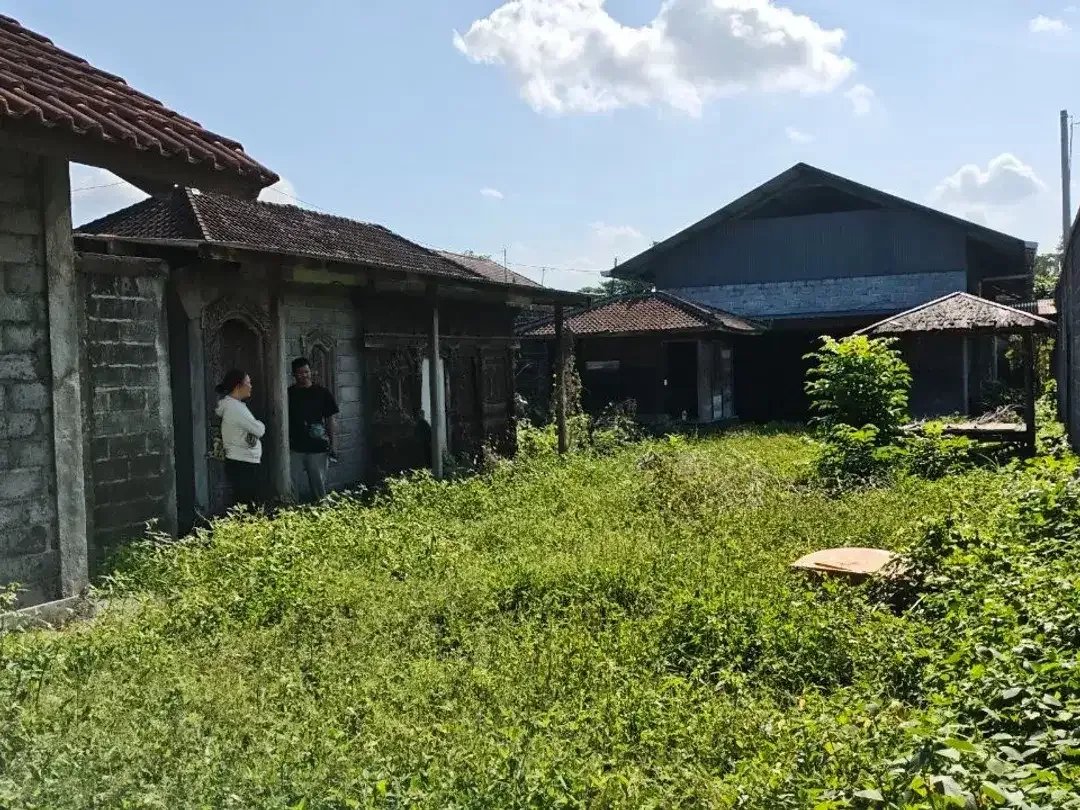 Tanah dan Bangunan Ex Galery Dijual, di Ubud - Image 6 of 10