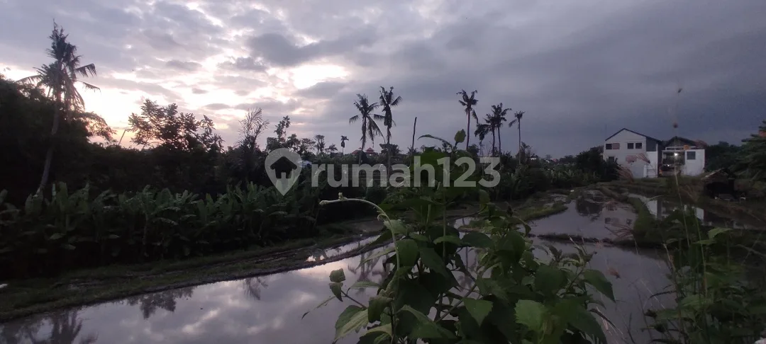 Rumah Minimalis Modern 2 Lantai Semi Furnished di Sempidi - Image 3 of 4