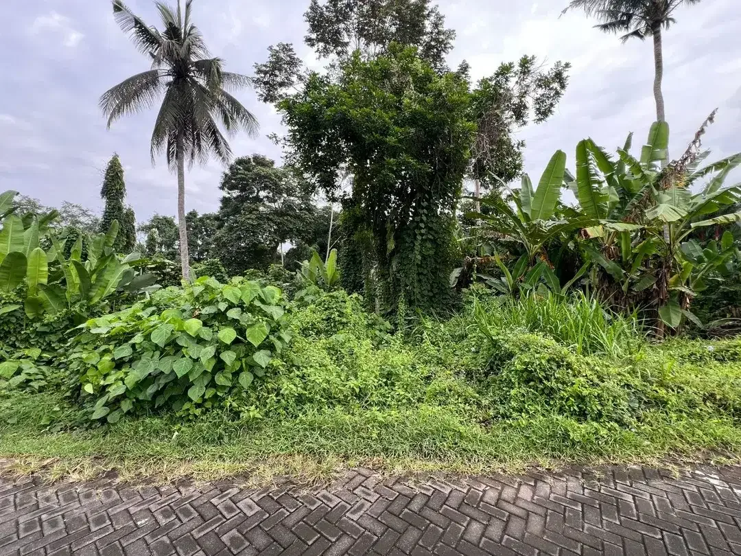 Exceptional Leasehold Land in Ubud - 19 Are Prime Land with Peaceful Jungle View near Ubud Center - Image 3 of 10