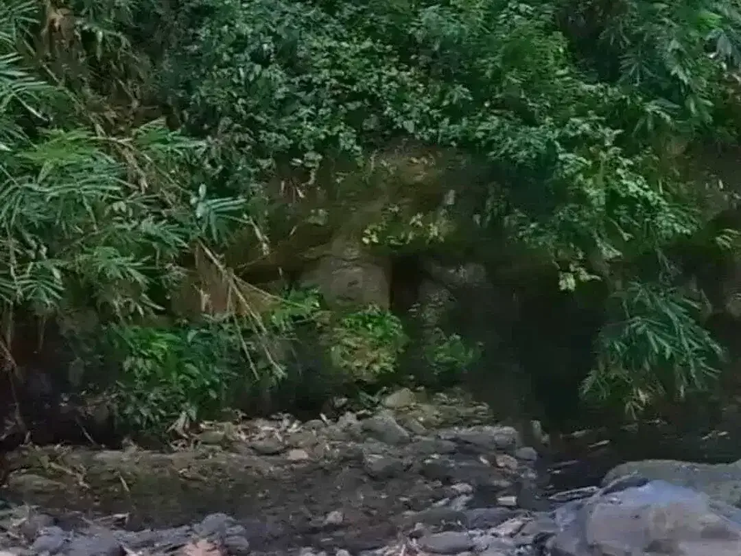 Land for sale in Kaba Kaba, Bali - Image 3 of 8