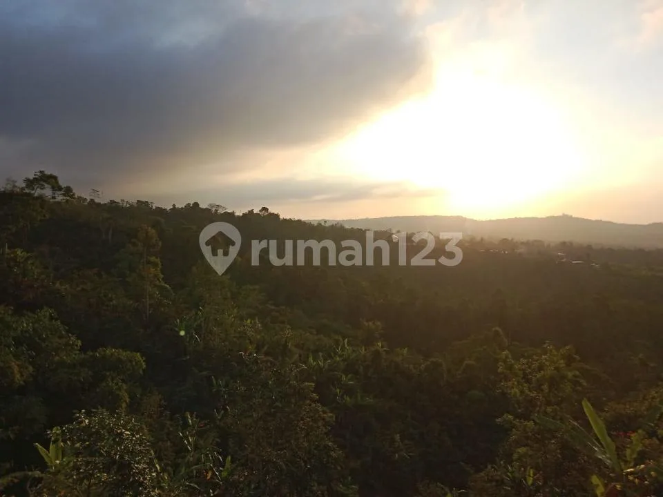 Tanah View Laut dan Sunset Buleleng #8904 - Image 1 of 4