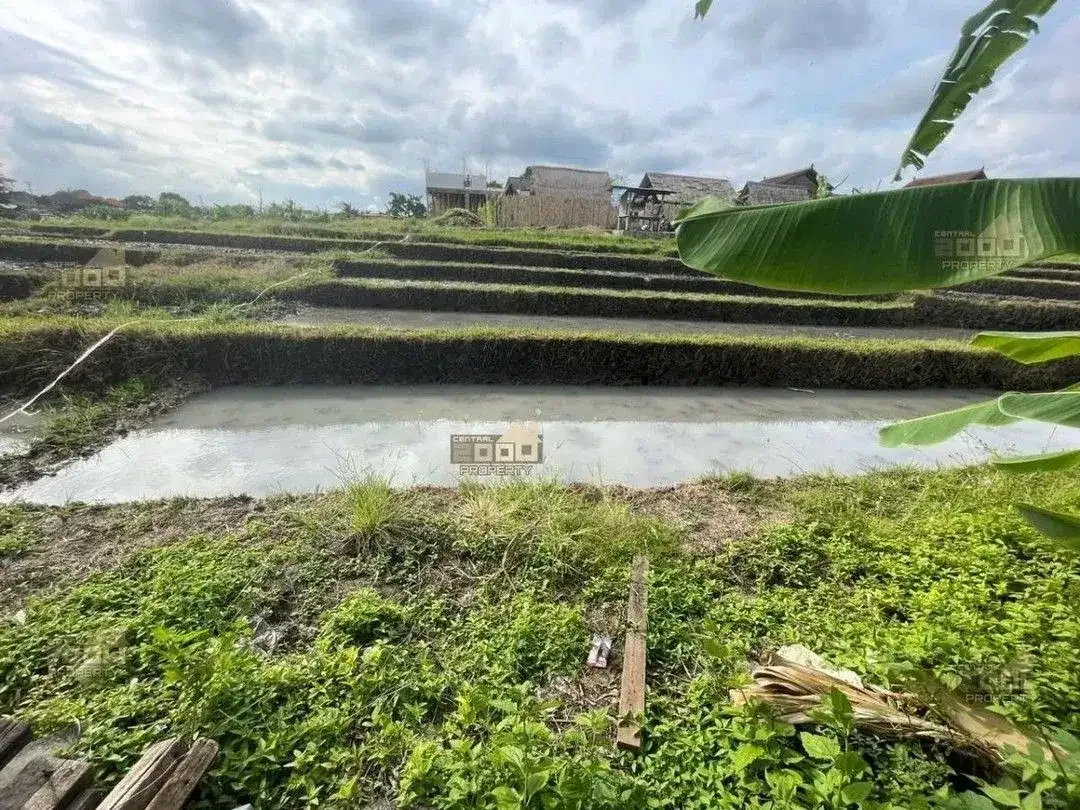 Freehold Land Canggu – Lokasi Strategis & Scenic Ricefield View - Image 9 of 10