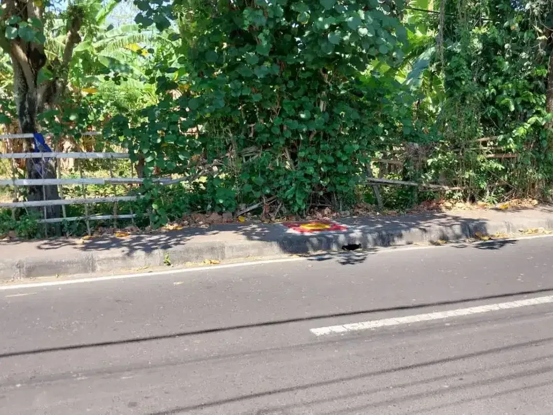 TANAH STRATEGIS DEKAT PANTAI DI KEDONGANAN - Image 2 of 7