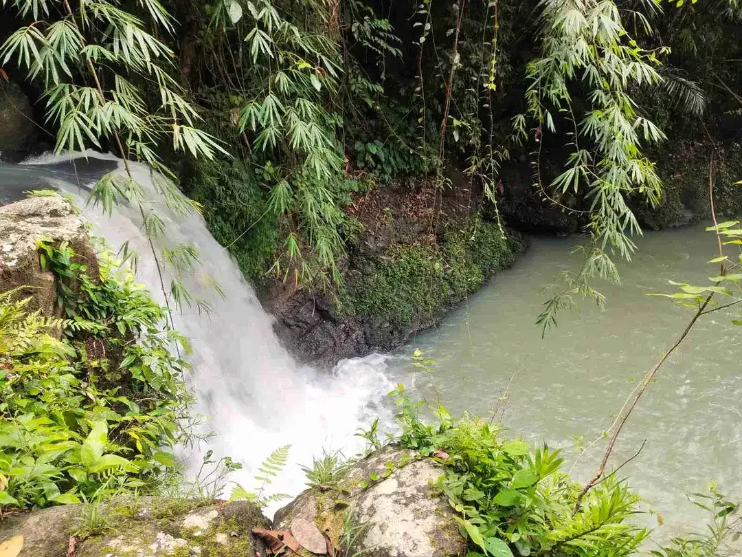 jual tanah kebun view air terjun kawasan villa di tabanan bali. - Image 3 of 10