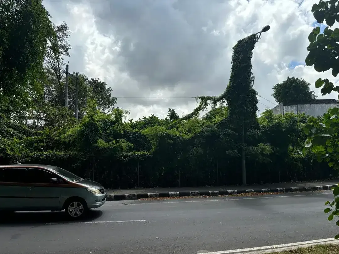 Tanah sunset road kuta - Image 2 of 10