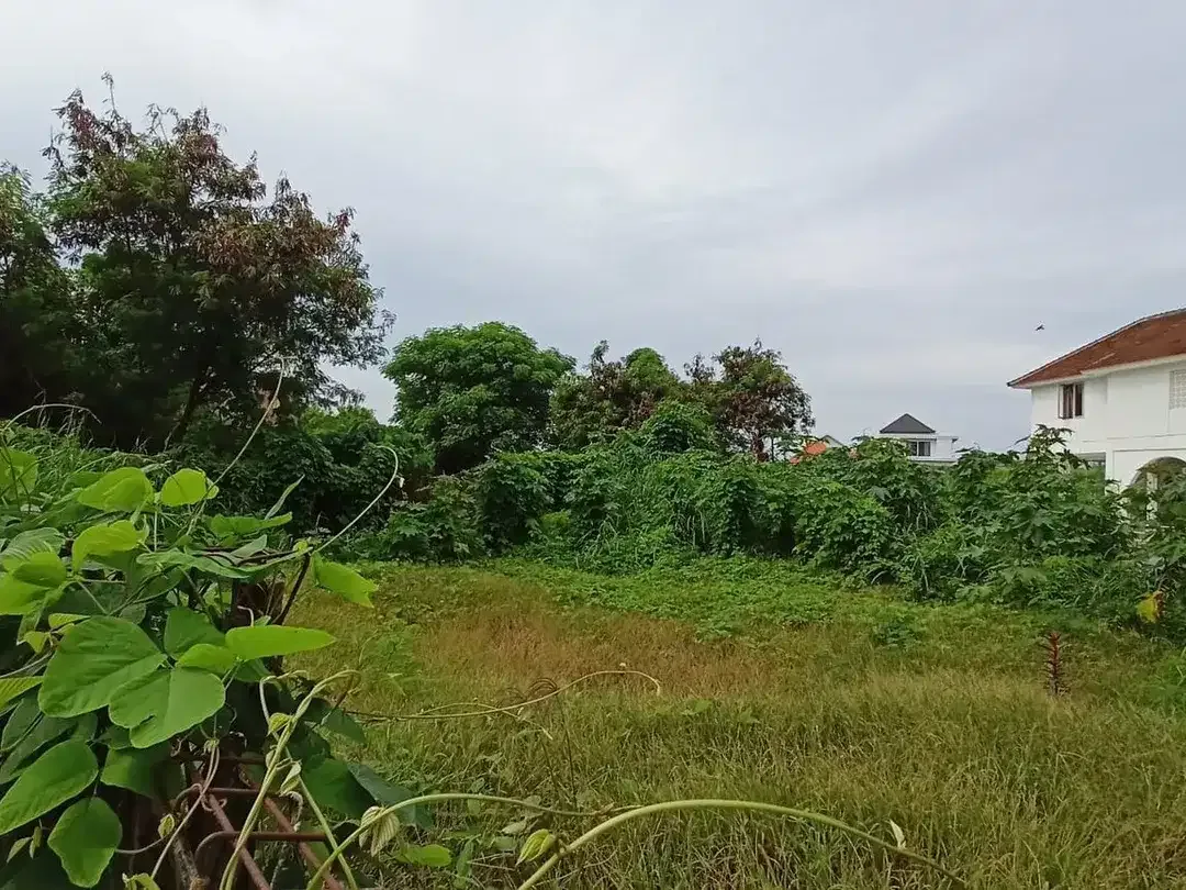 Freehold - Rare Land Plot with River & Rice Field View for Sale Canggu - Image 3 of 7
