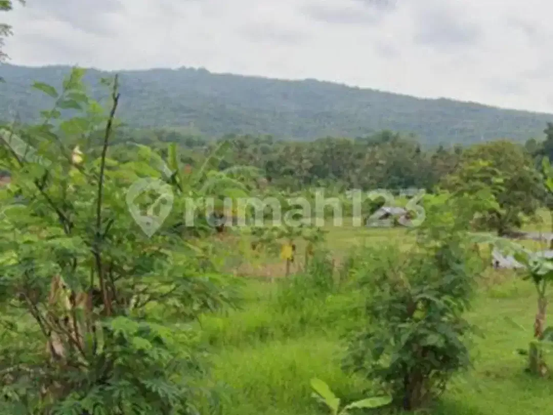 Jarang Ditemukan! Tanah Premium 1.700 M² di Singaraja-Lovina - Image 2 of 8