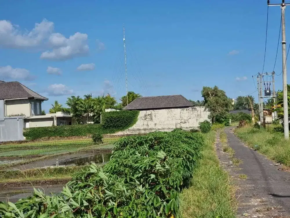 FOR SALE BEACHFRONT LAND AT TABANAN - Image 2 of 5