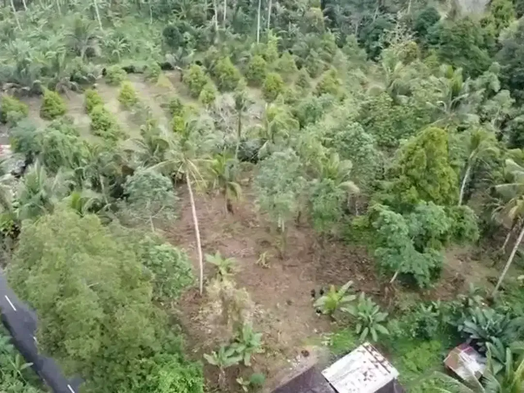 Tanah kebun di Gn Salak Selemadeg Timur Tabanan Dkt Eco Bali Stay Manca Restasurant - Image 6 of 7