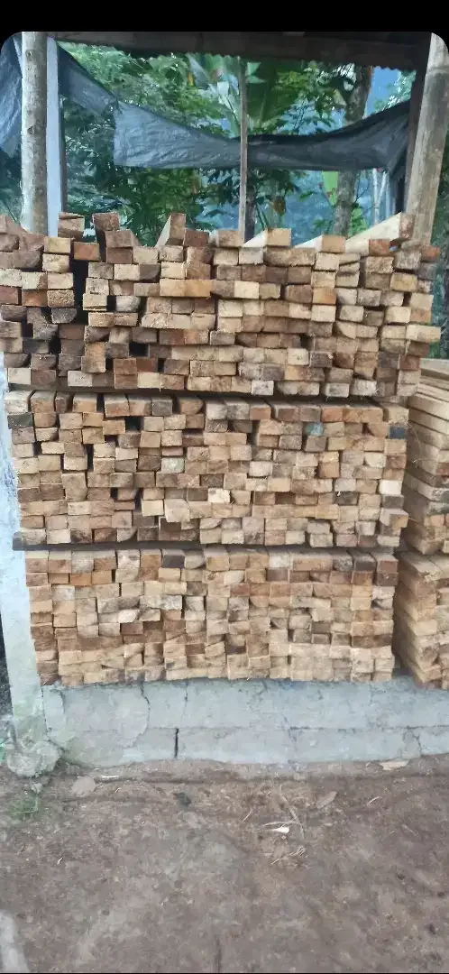 Dijual kayu jimas super lurus dll dri pemotongan langsung - Image 5 of 5
