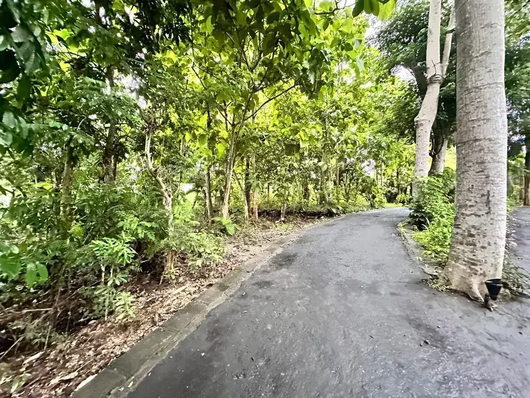 Tanah MURAH Lingkungan Villa Jl Belimbing Sari Pecatu - Image 4 of 10