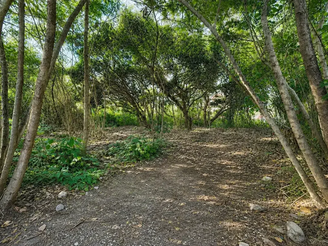 FREEHOLD | 9.1 ARE LAND IN UMALAS - Image 4 of 4