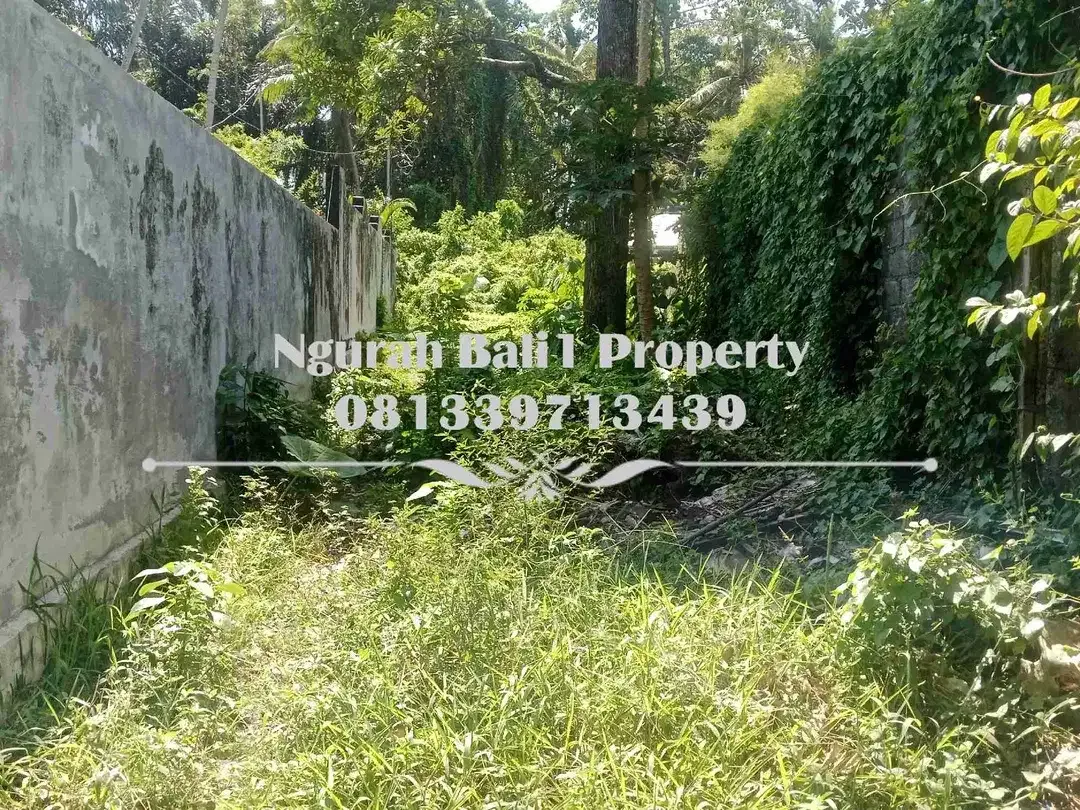 Tanah Premium Disewakan Luas 16,35 Are Kawasan Villa Lokasi Deket Pelangi School Ubud - Image 5 of 8
