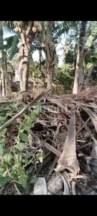 Dijual Tanah Area Lodtunduh Zona Kuning Strategis - Image 3 of 4