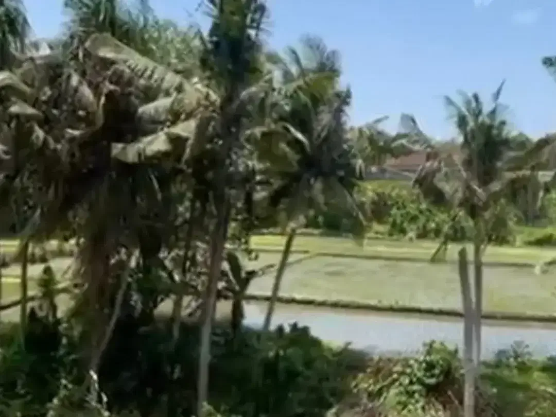 TANAH DENGAN THE BEST VIEW IN MAS UBUD GIANYAR - Image 6 of 9