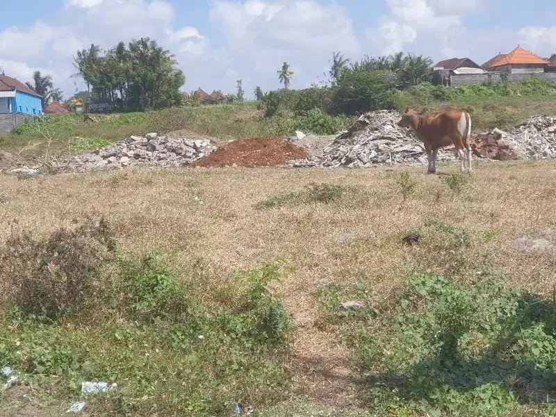 Dijual lahan 70a di jalan raya bay pas I B Mantra Ketewel Bali - Image 7 of 9