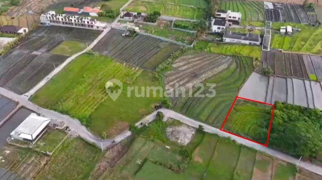 Tanah Jual Lokasi Nyanyi - Image 4 of 4