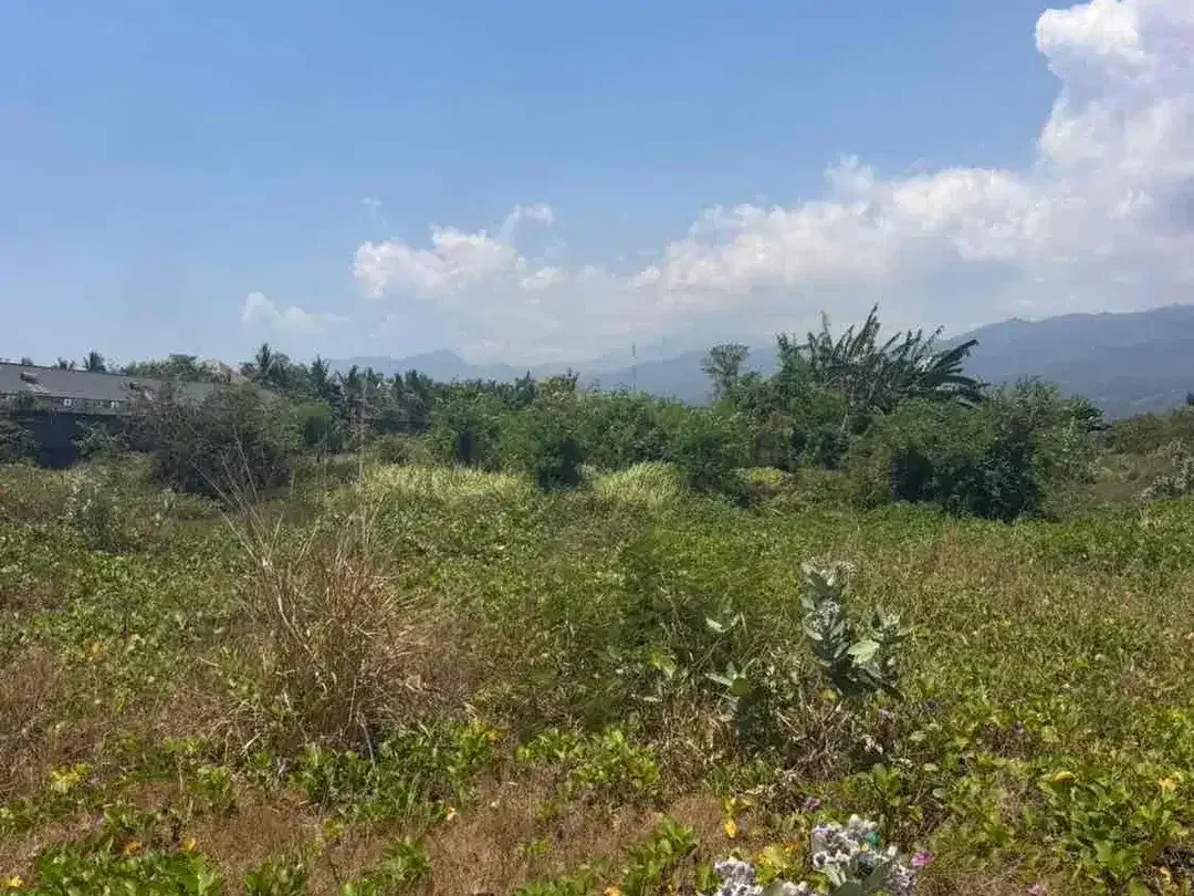 RARE BEACHFRONT LAND FOR SALE – LOVINA, NORTH BALI - Image 6 of 6