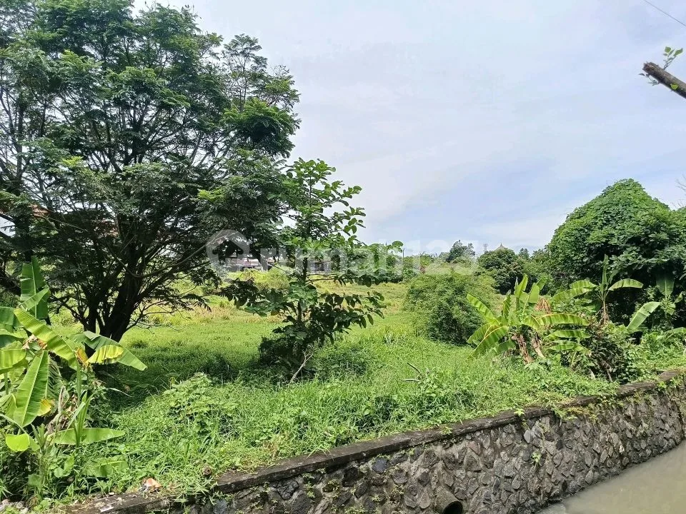 Tanah di Dekat Kawasan Pariwisata Seminyak - Image 2 of 4