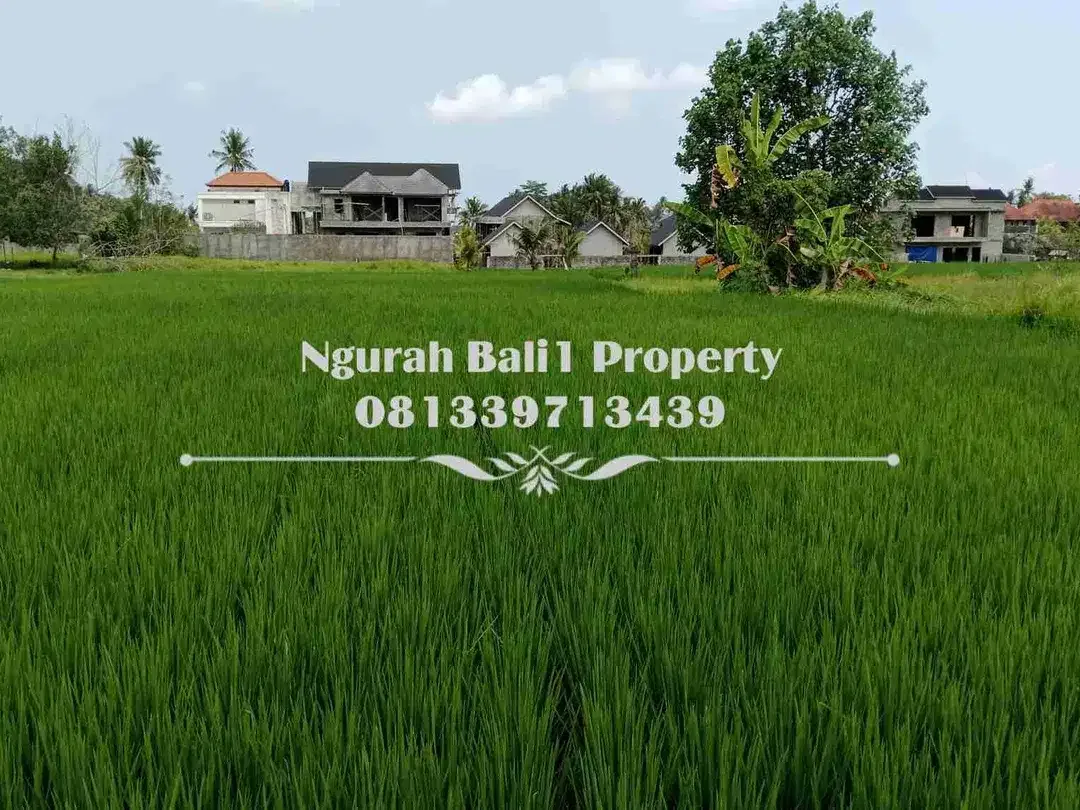 Tanah Dijual Murah Luas 47,95 Are Kawasan Villa di Tengkulak Ubud - Image 2 of 6