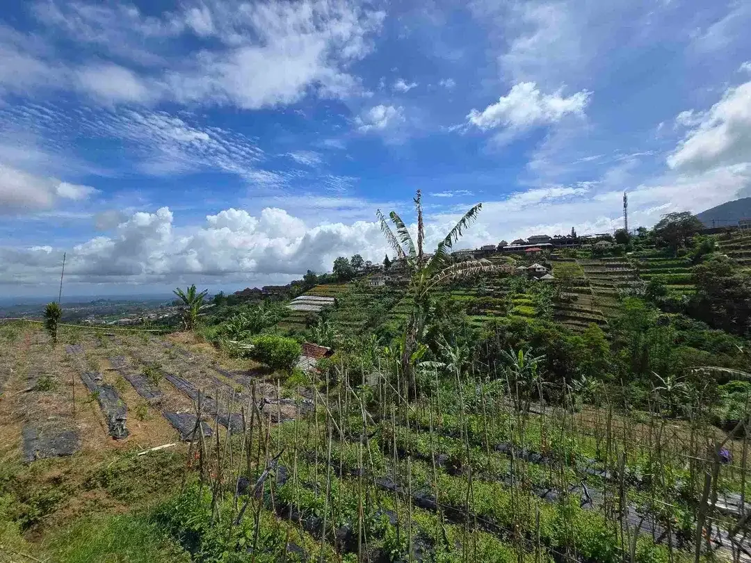 Dijal tanah murah view gunung laul dan lembah di bedugul bali - Image 4 of 10