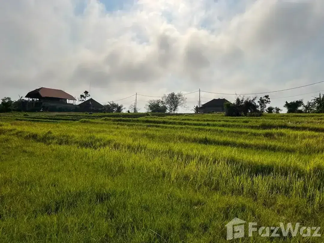 Land for sale in Nyanyi, Bali - Image 3 of 5