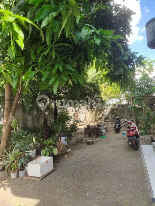 Dijual Rumah Berhalaman Luas Bisa Dipakai Kantor Dan Gudang Area Gatot Subroto Barat Dekat Cargo Permai, Denpasar - Image 4 of 4