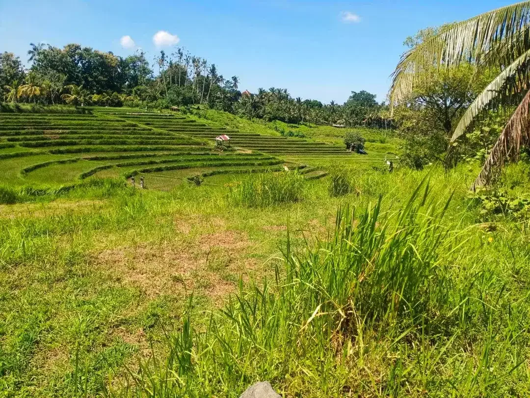 6580 sqm land for sale in an enchanting landscapes of Tabanan, Bali - Image 3 of 9