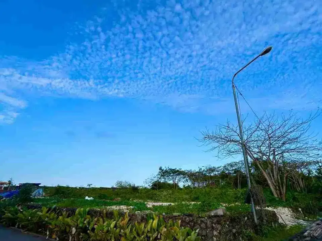 DIJUAL  TANAH  6 ARE POSISI  HOOK DI NUSA DUA CN - Image 3 of 6