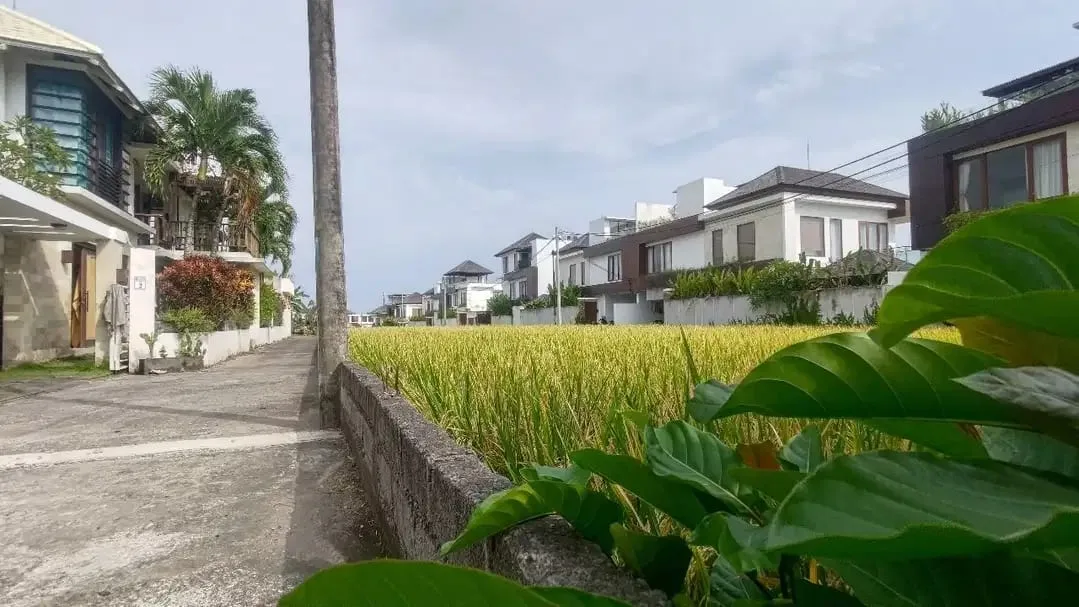 TANAH 200M DARI PANTAI CEMAGI CANGGU MILIK SENDIRI - Image 3 of 4