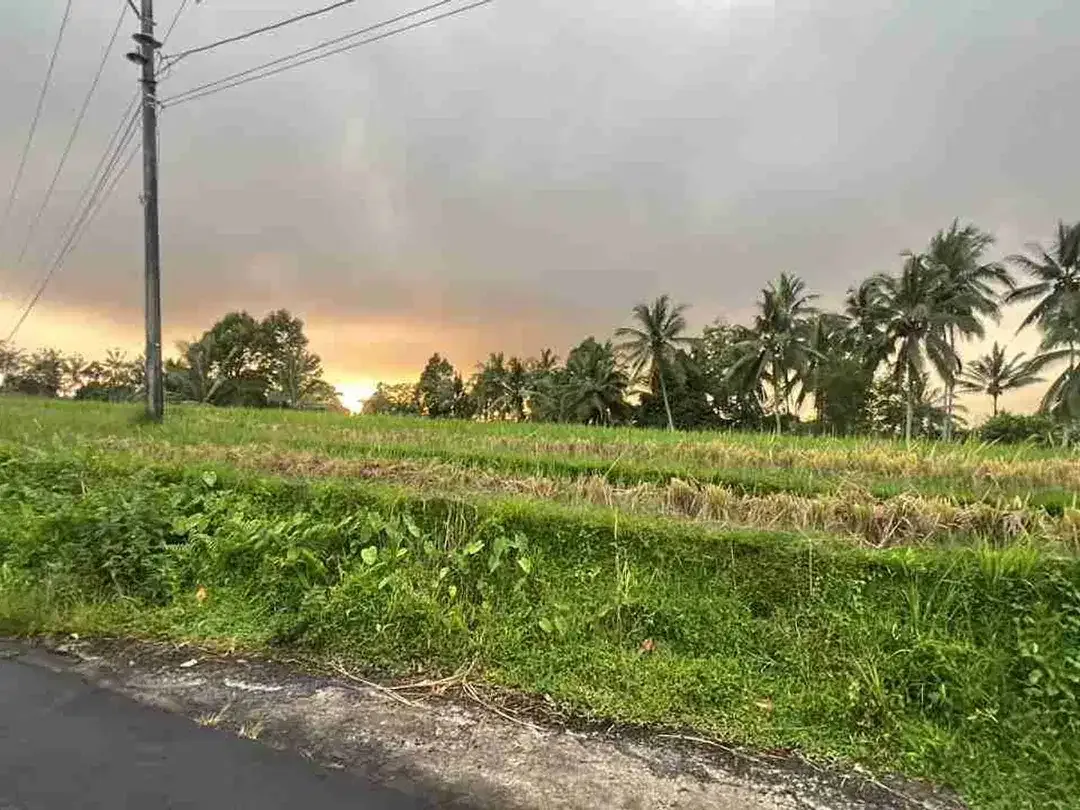 jual tanah luasan kecil view sawah area pemukiman di wanagiri selemadeg tabanan bali. - Image 3 of 10