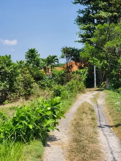 Tanah murah dekat pantai siyut Gianyar - Image 2 of 10