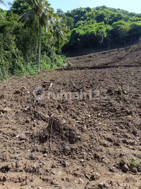 Direct Owner For Sale Ocean View Land In Candidase Close To Central And Good Acces Road - Image 4 of 4