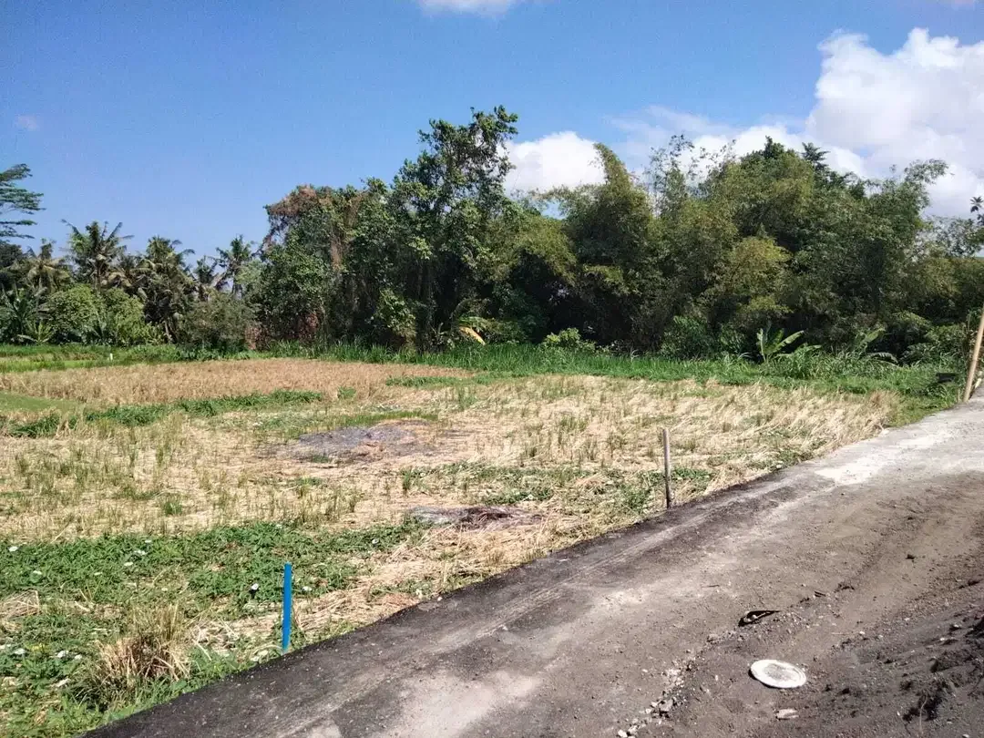 1,5 are Full View Ocean dan Sawah di Gianyar Bali - Image 2 of 6