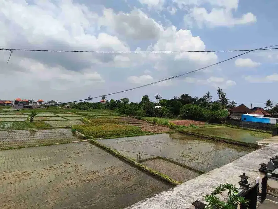 rumah lantai 2 siap huni view sawah area denpasar utara - Image 6 of 6
