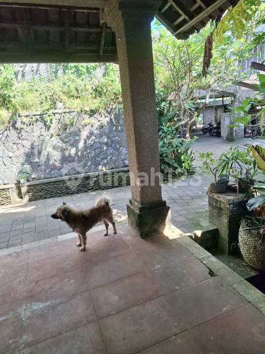 Rumah Pejeng Kelod Ubud Dikontrakan - Image 4 of 4