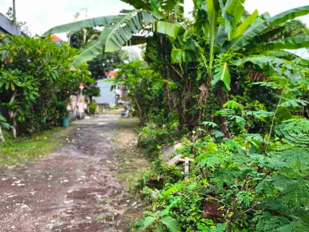 dijual tanah 4 are dekat Pepito taman griya Jimbaran Kuta Selatan Badung Bali - Image 5 of 7